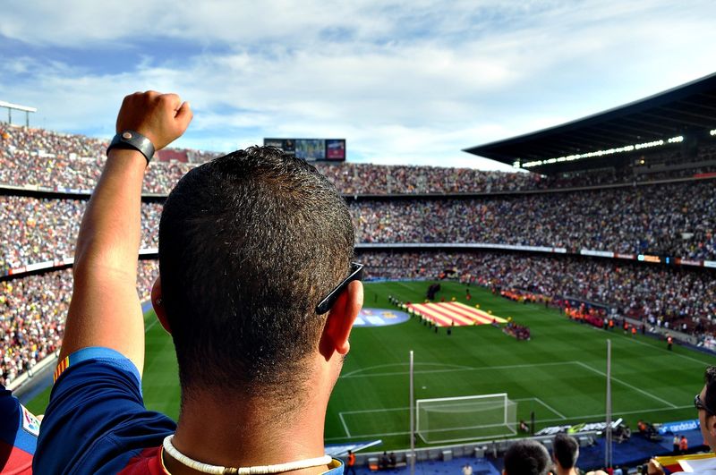 Soccer fan