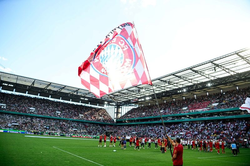 Bayern Munich flag