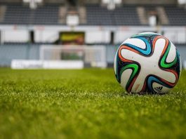 Soccer ball in the field